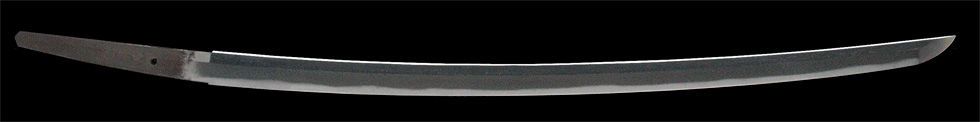 日本刀、越前康継（重要刀剣）刀身